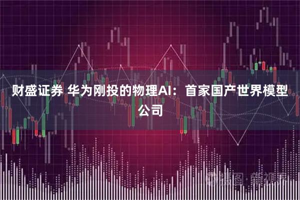 财盛证券 华为刚投的物理AI：首家国产世界模型公司