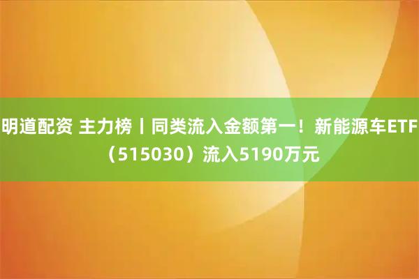 明道配资 主力榜丨同类流入金额第一！新能源车ETF（515030）流入5190万元