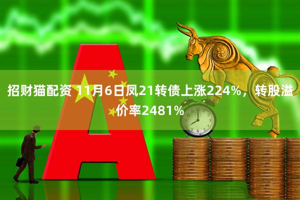 招财猫配资 11月6日凤21转债上涨224%，转股溢价率2481%